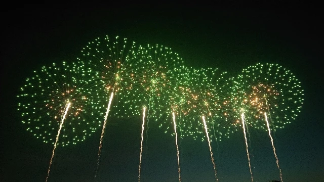 大曲の花火 全国花火競技大会（第95回）