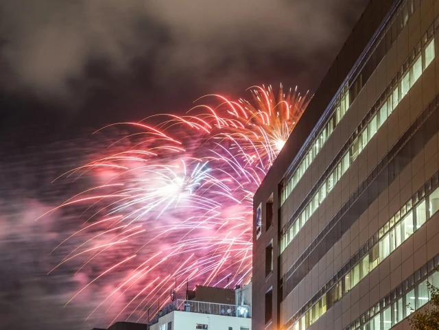 隅田川花火大会 写真2